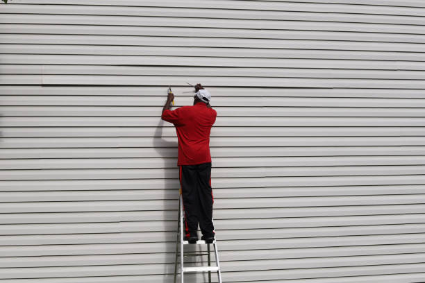 Hayti, MO Siding Installation & Repair Company